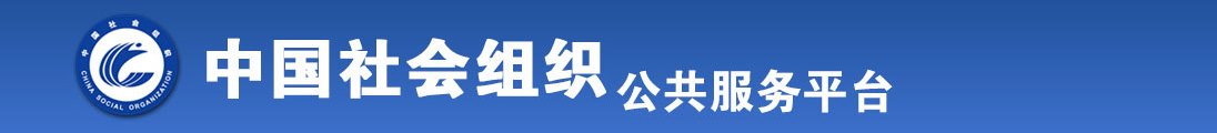 五一动漫网站成人版全国社会组织信息查询